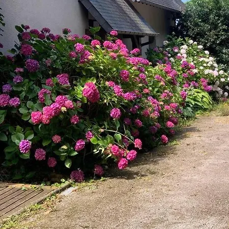 Maisons Normande A 5 Minutes De Deauville