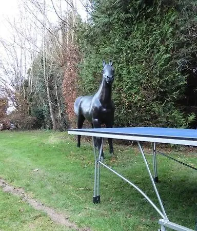 Maisons Normande A 5 Minutes De Deauville Bonneville-sur-Touques