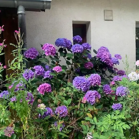 Maisons Normande A 5 Minutes De Deauville Willa Bonneville-sur-Touques