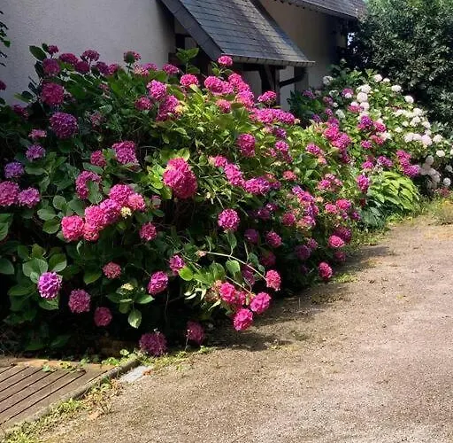 Maisons Normande A 5 Minutes De Deauville