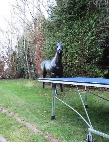 Maisons Normande A 5 Minutes De Deauville ボンヌヴィル・シュル・トゥック